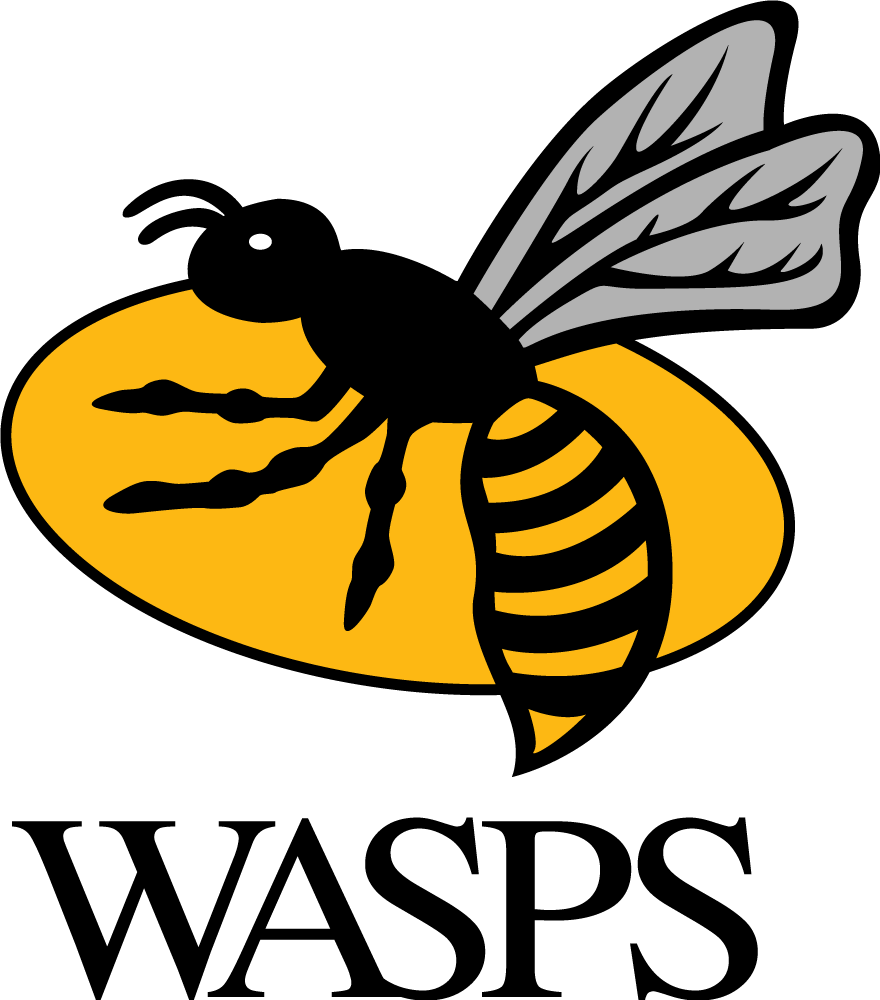 wasps pres primary logo iron on transfers for clothing